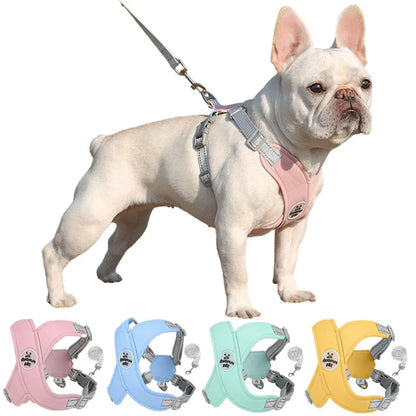 Dog Harness with Leash Set