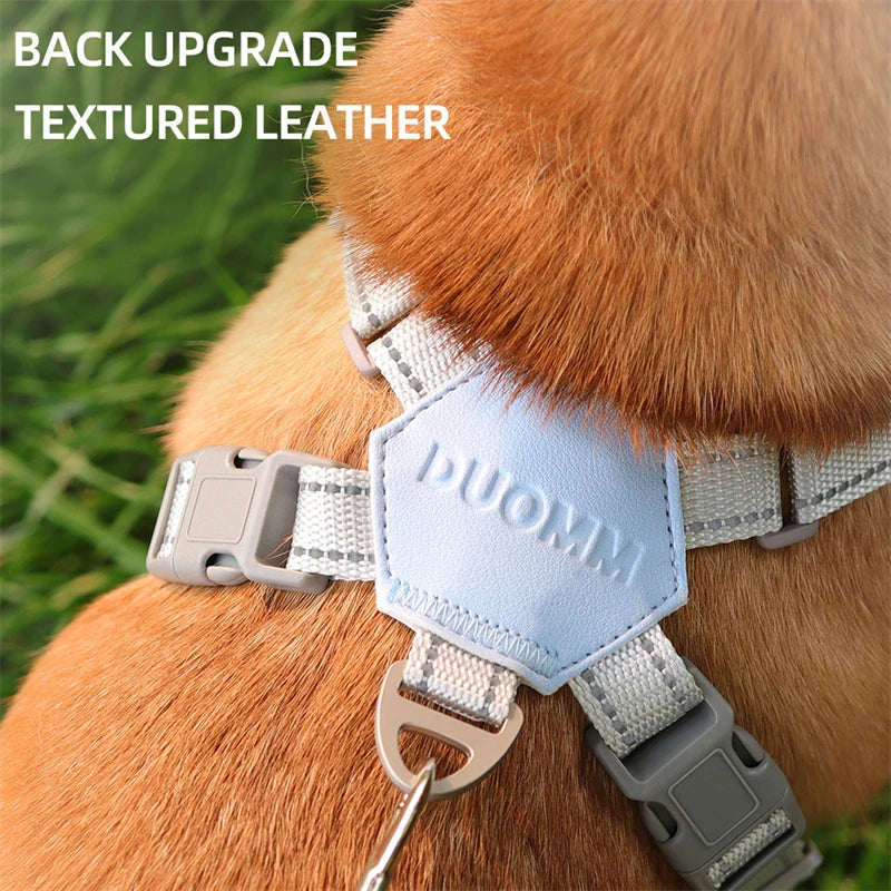 Dog Harness with Leash Set