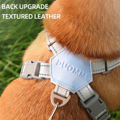 Dog Harness with Leash Set