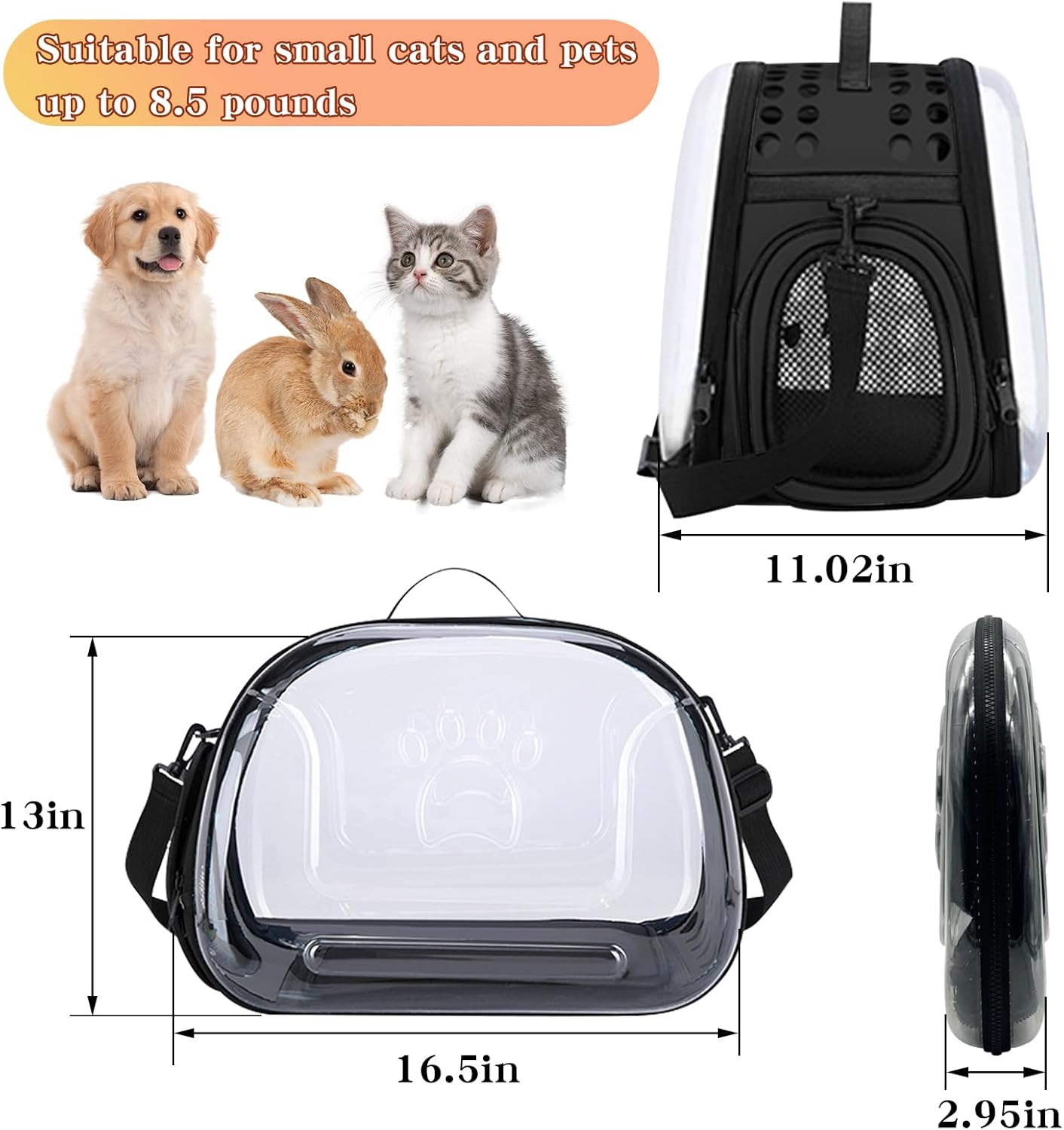 Transparent Cat Carrier